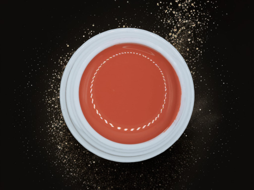 #211 Blushing Salmon 5g - NAM24 UV Farbgel